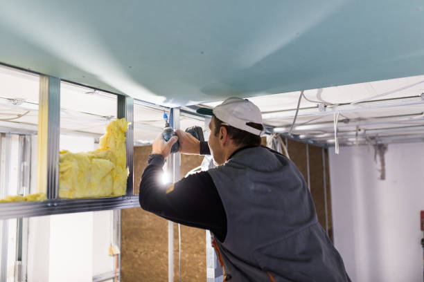Best Eco-Friendly Insulation in Lolo, MT
