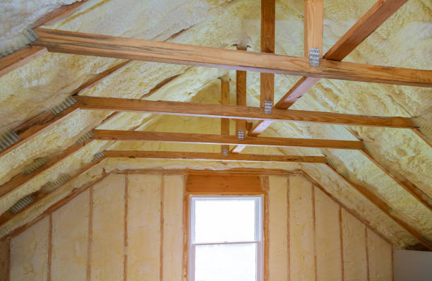 Professional Insulation Contractor in Lolo, MT