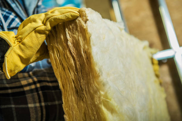 Best Blown-in Insulation in Lolo, MT