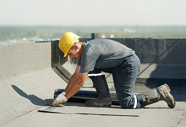 Best Geographic-Specific Insulation Services in Lolo, MT