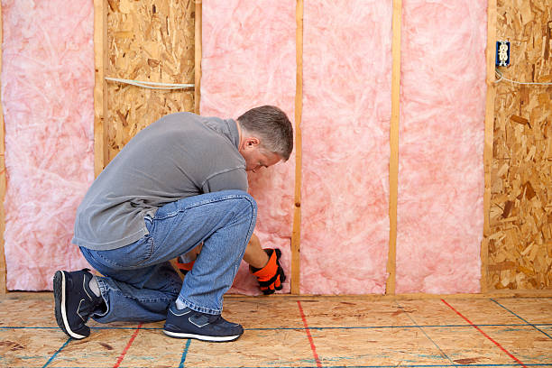 Best Cellulose Insulation in Lolo, MT
