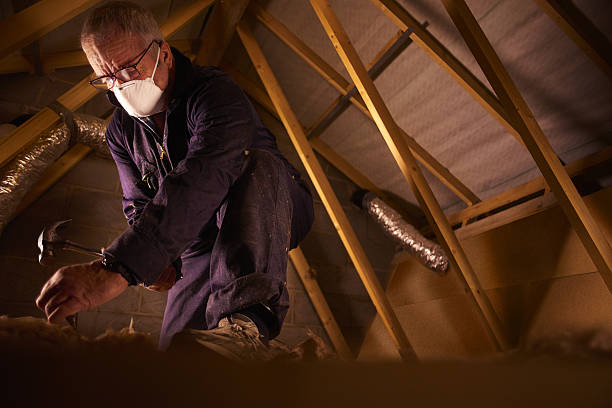 Best Residential Insulation in Lolo, MT