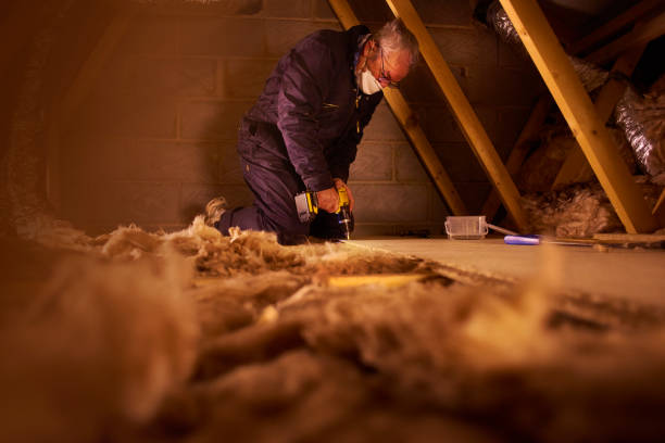 Best Insulation Maintenance and Repair in Lolo, MT