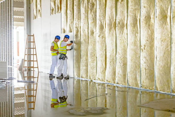 Types of Insulation We Offer in Lolo, MT